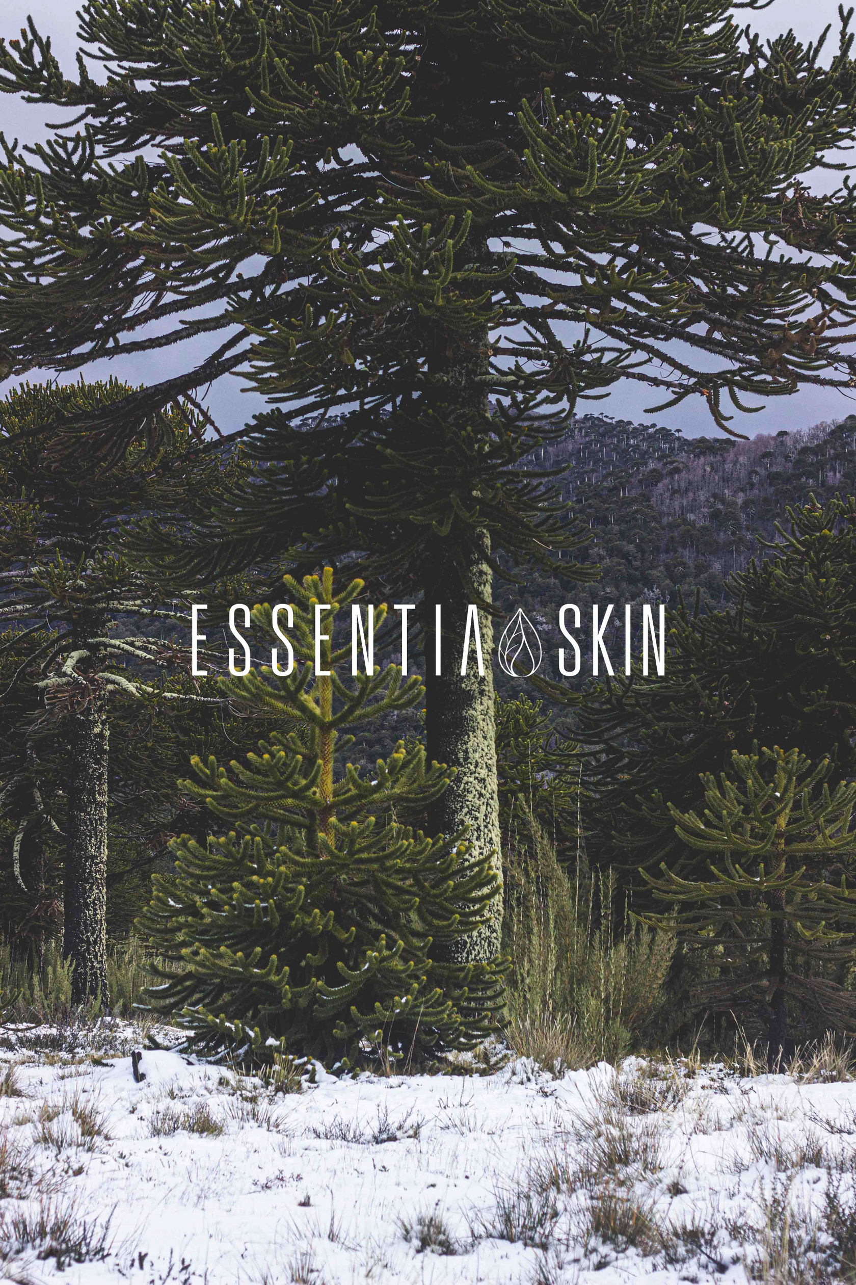 Essentia Skin — bosque de araucarias